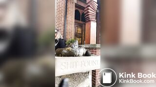 Shitting on a stone shit