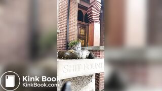 Shitting on a stone shit