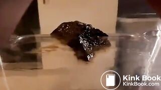 Authentic black caviar dark scat