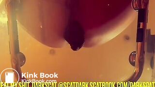 Authentic black caviar dark scat