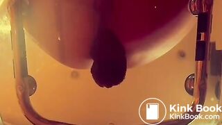 Authentic black caviar dark scat