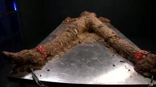 JAV Scat Bondage Covered in shit