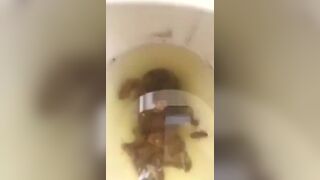 Hot Princess Shitting on Toilet