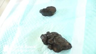 Japanese Amateur Pooping Pt.3