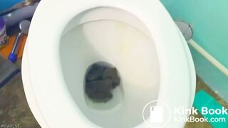 toilet shitting - video 26