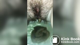 Videos 357