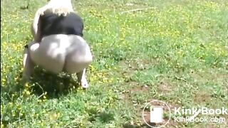 Girl pooping outdoor - video 12