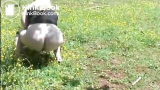 Girl pooping outdoor - video 12