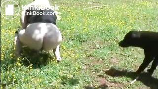 Girl pooping outdoor - video 12