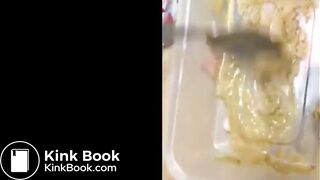 Nerd girl eating shit @@