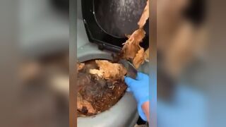 Rotten Portapotty shit eating by demand