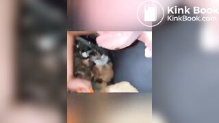 Rotten Portapotty shit eating by demand