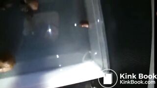 GERMAN GIRL POOPING BIG TURD 6