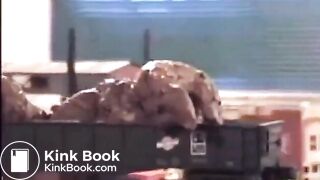 Shitting on a model train