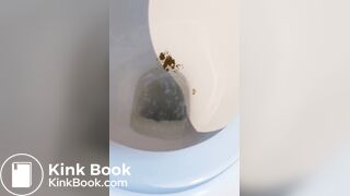Hottie squeezes a big knobbly poo into the loo - video 3