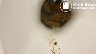 Toilet Shit & Piss - video 2