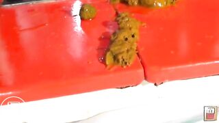 Japanese cute girl scat6