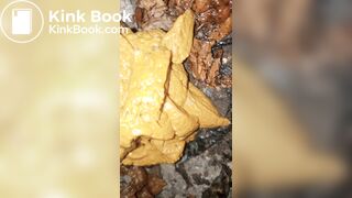 Ebony midnight poop at the bush