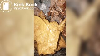 Ebony midnight poop at the bush