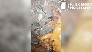 Ebony midnight poop at the bush