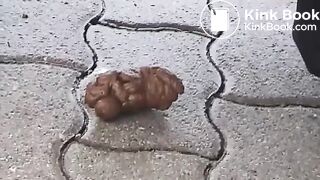 Sexy dropped a big turd on the ground, in a parking lot