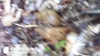 Videos 317