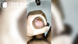masturbation with stuffed foreskin