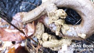 Videos 320