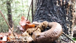 Videos 320