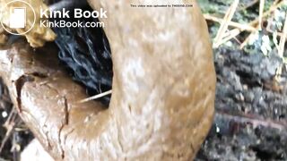 Videos 320