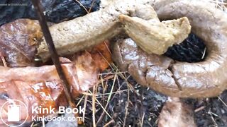 Videos 320