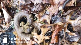 Videos 320