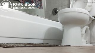 Destroying The Toilet 2