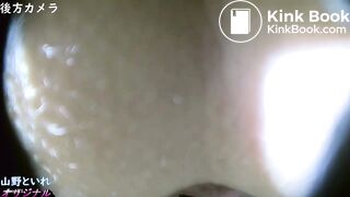 山の公衆トイレ 脫糞