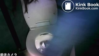 山の公衆トイレ 脫糞