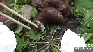 japanese outdoor pooping - video 10
