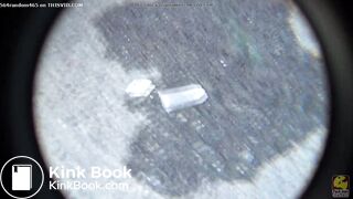 Woman wipes with tea bags when she has no paper [PM105]