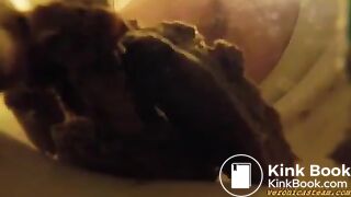 A lot of shit best view