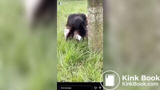 Popular IG Model strikes again