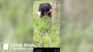 Popular IG Model strikes again