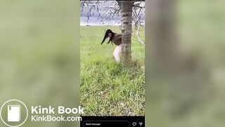 Popular IG Model strikes again