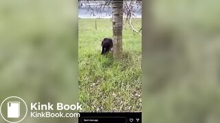 Popular IG Model strikes again