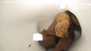 Sexy girl pooping in toilet - video 4