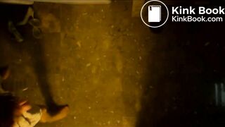 The Bridesmaid Pooping in Toilet