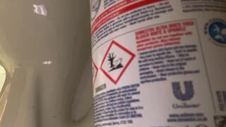 big logs in toilet - video 2