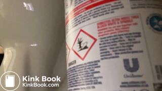 big logs in toilet - video 2