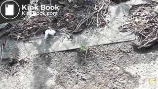 Japanese relieves herself outdoor [PM105]