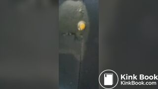 korean girl scat - video 67