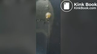 korean girl scat - video 67