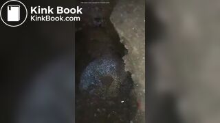 indo girl scat